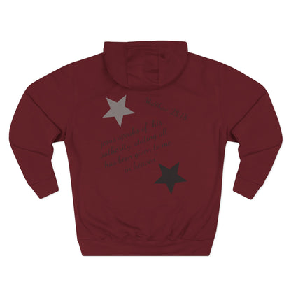 Three-Panel Fleece Hoodie