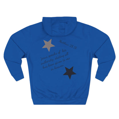 Three-Panel Fleece Hoodie