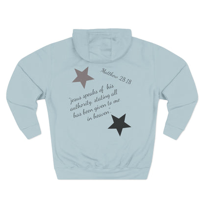 Three-Panel Fleece Hoodie