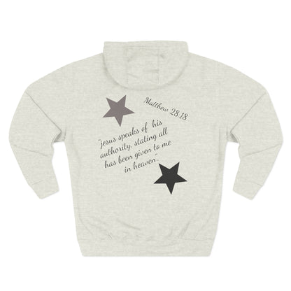 Three-Panel Fleece Hoodie