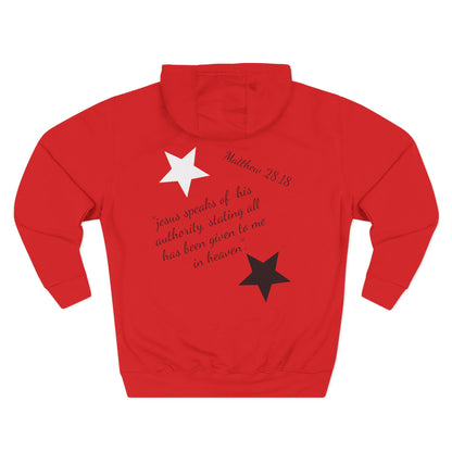 Three-Panel Fleece Hoodie