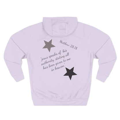 Three-Panel Fleece Hoodie