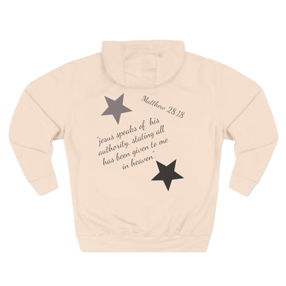 Three-Panel Fleece Hoodie